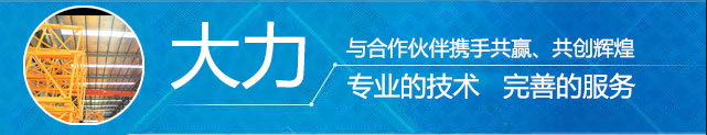 湖南大力建设机械工程股份有限公司_塔式起重机|施工升降机|物料升降机哪里好|大力建设