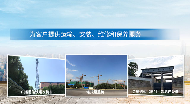 湖南大力建设机械工程股份有限公司_塔式起重机|施工升降机|物料升降机哪里好|大力建设